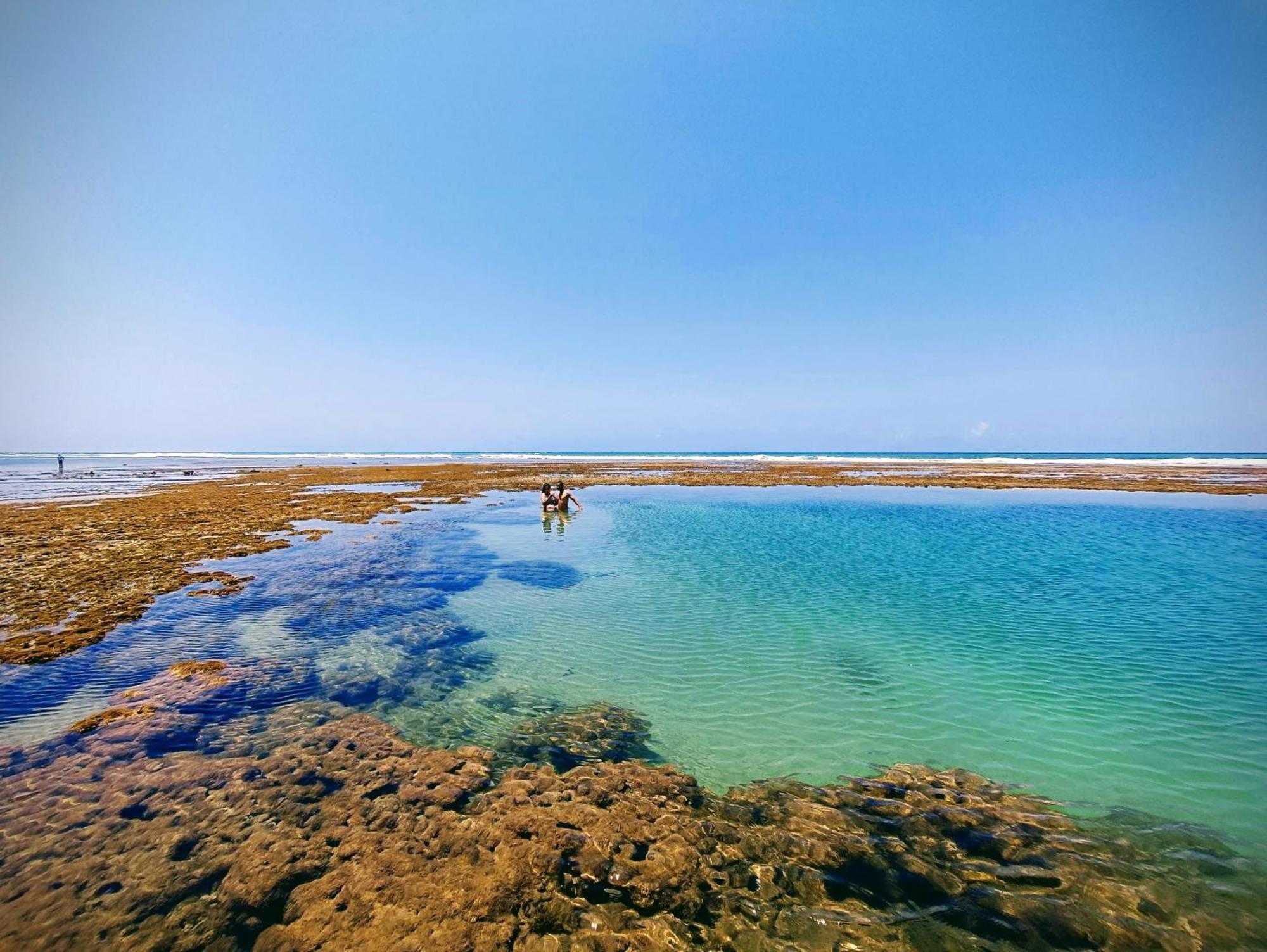Piscinas Naturais De Praia Do Forte Eksteriør billede